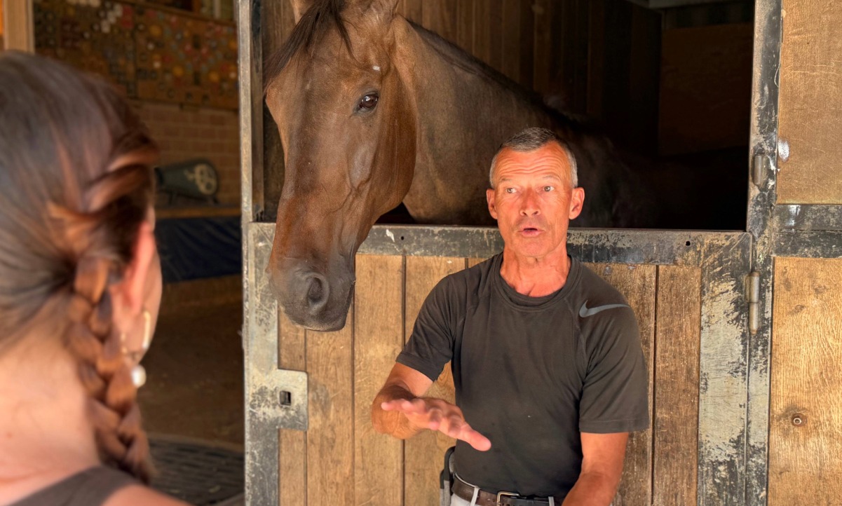 Pius Schwizer Pferd