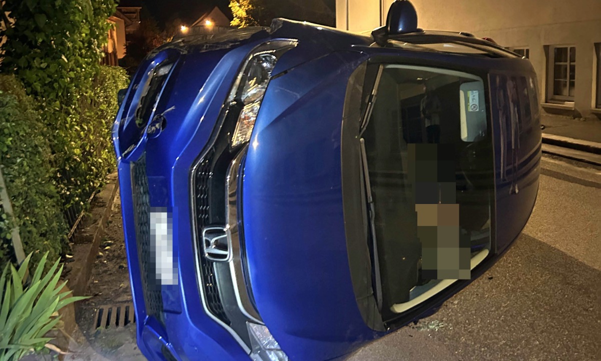 Unfall Insekt