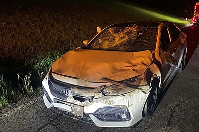 Dieser Autolenker hatte grosses Glück: In Neuheim im Kanton Zug kollidierte sein Fahrzeug mit einem Hirsch. Das Auto erlitt Totalschaden, der Fahrer blieb unverletzt. Bild: Zuger Polizei