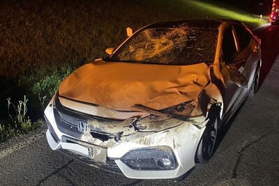 Dieser Autolenker hatte grosses Glück: In Neuheim im Kanton Zug kollidierte sein Fahrzeug mit einem Hirsch. Das Auto erlitt Totalschaden, der Fahrer blieb unverletzt. Bild: Zuger Polizei