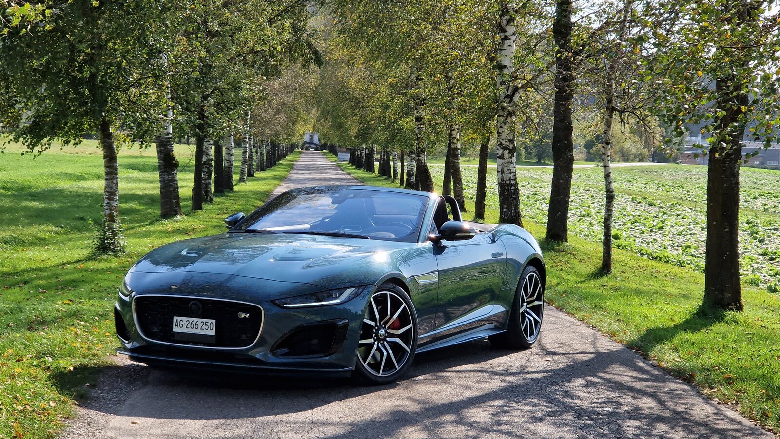 Frontansicht Jaguar F-Type Cabrio
