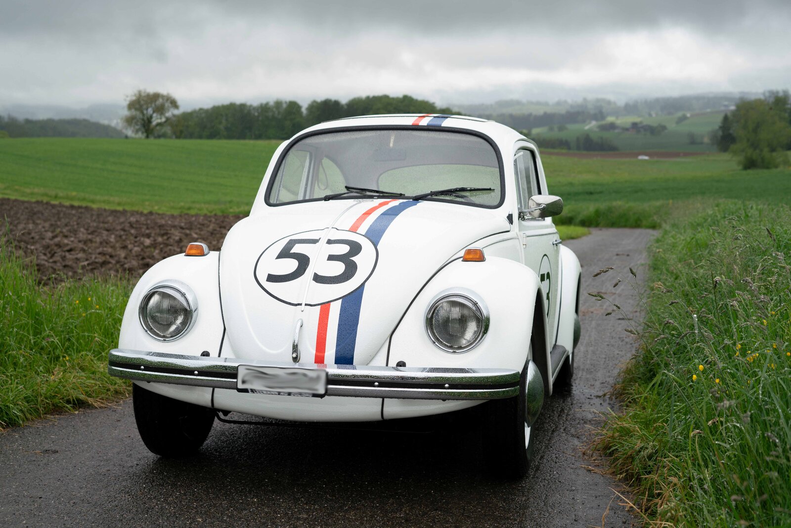 VW Käfer im Herbie Design mit Nummer 53 auf der Front