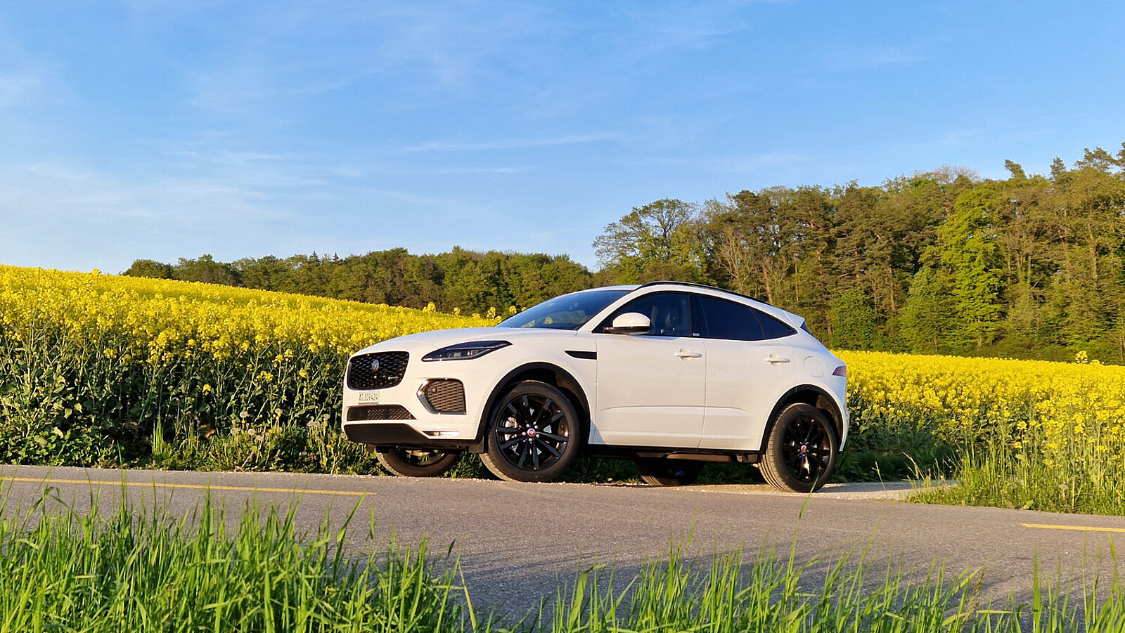 Jaguar E-Pace PHEV seitansicht