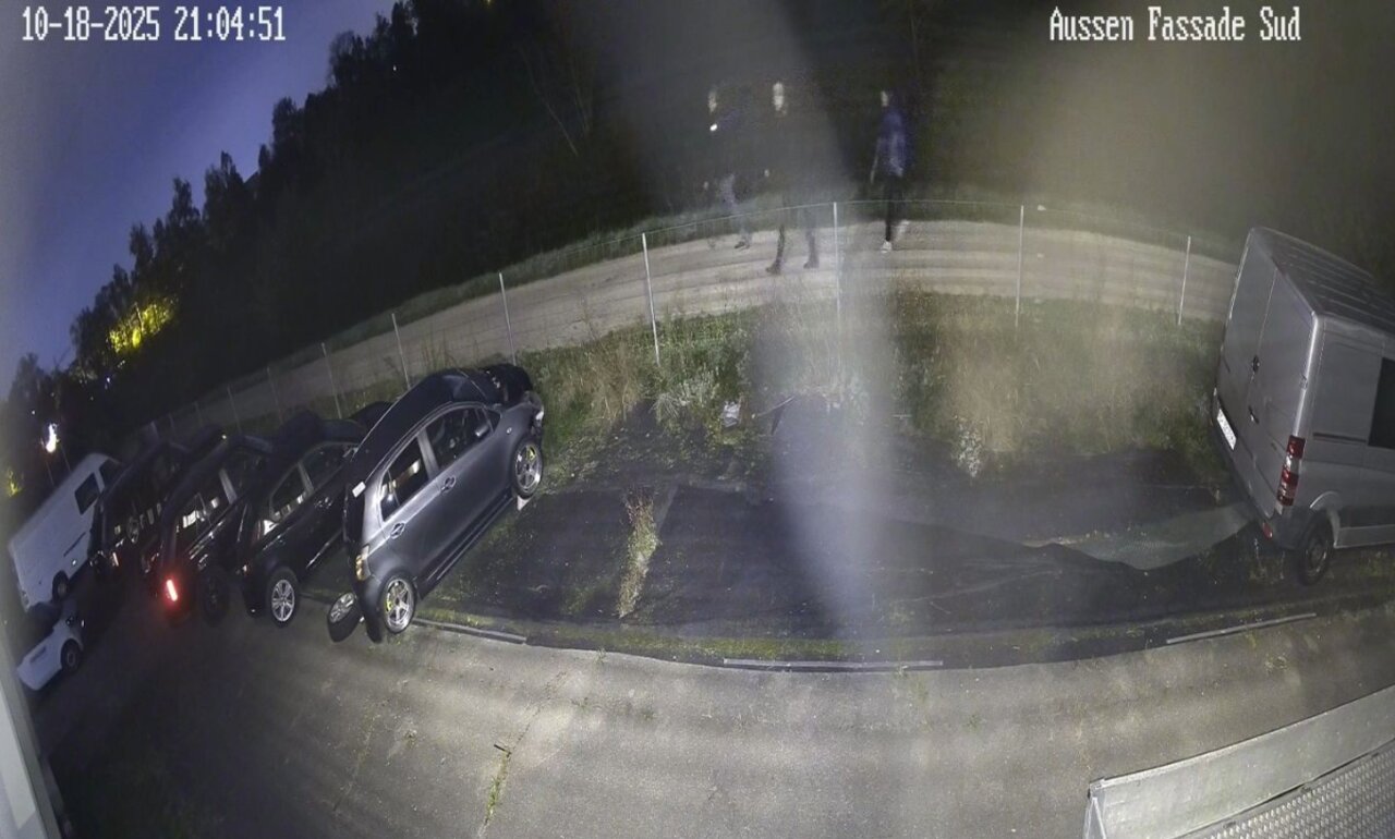 Einbruch Garage Buchs