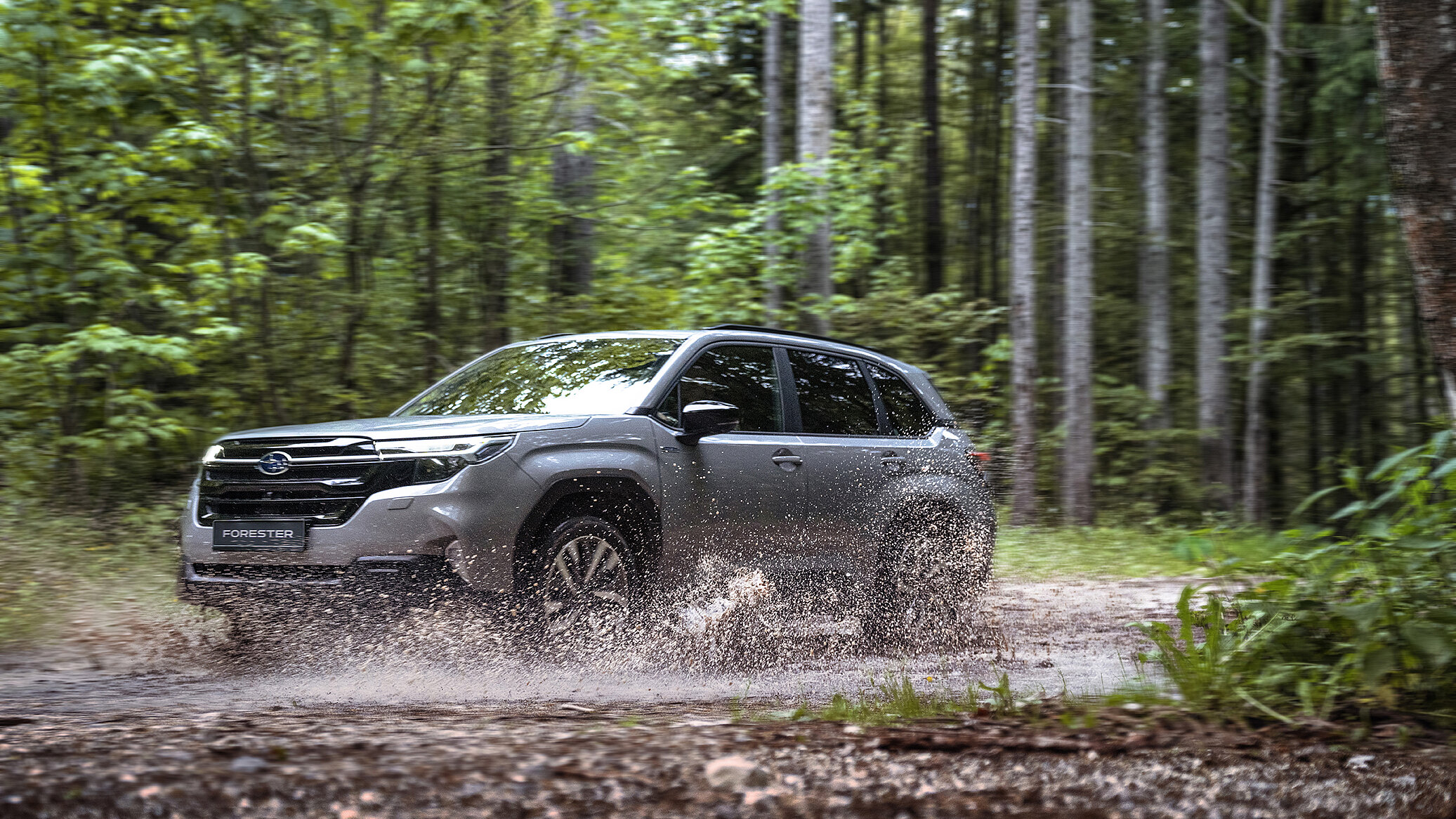 Subaru Forester im Wald