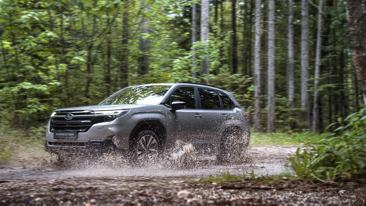 Subaru Forester im Wald