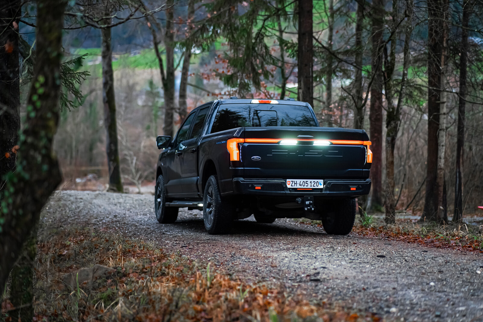 Ford F-150 Lightning von hinten