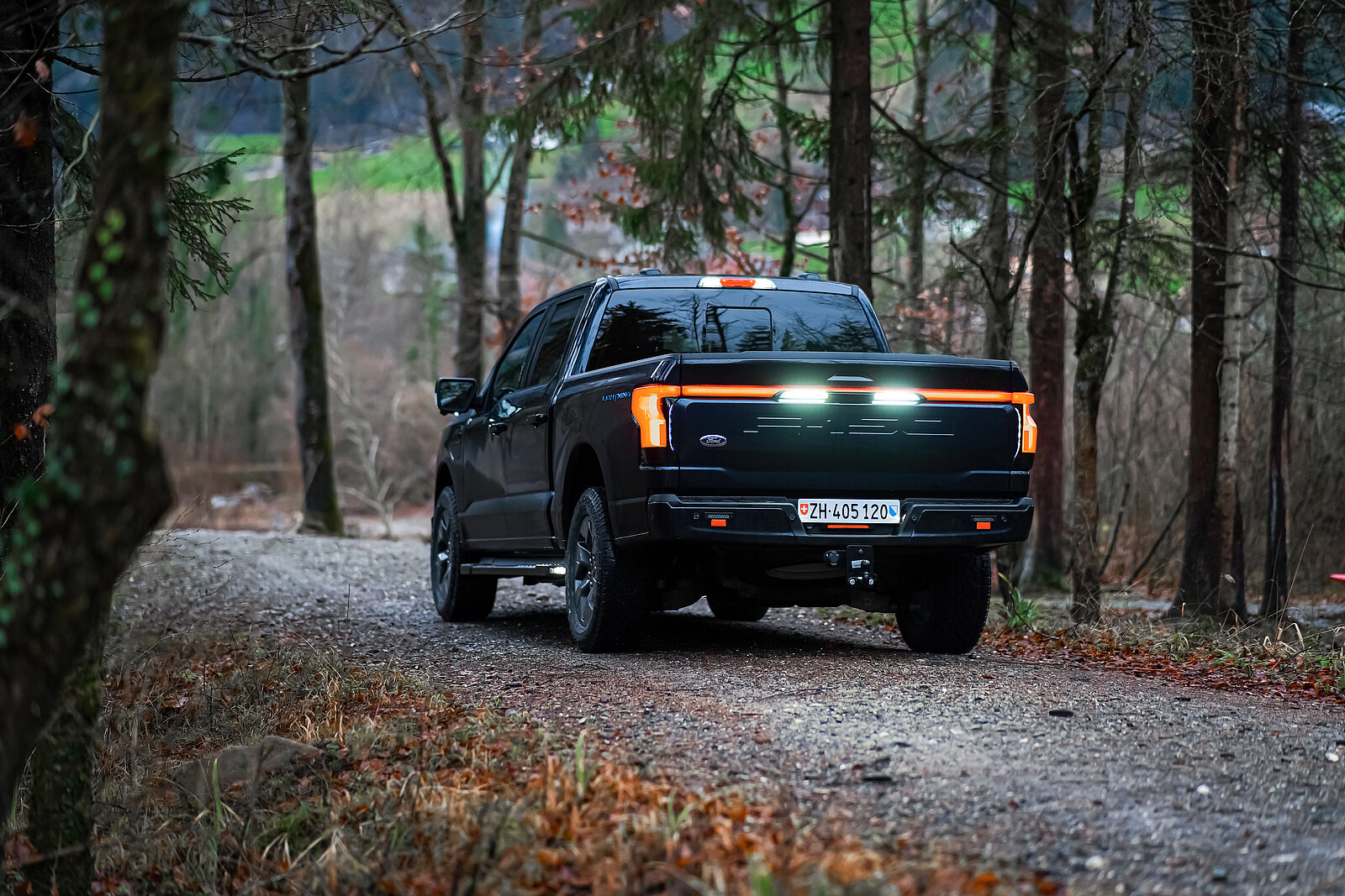 Ford F-150 Lightning von hinten