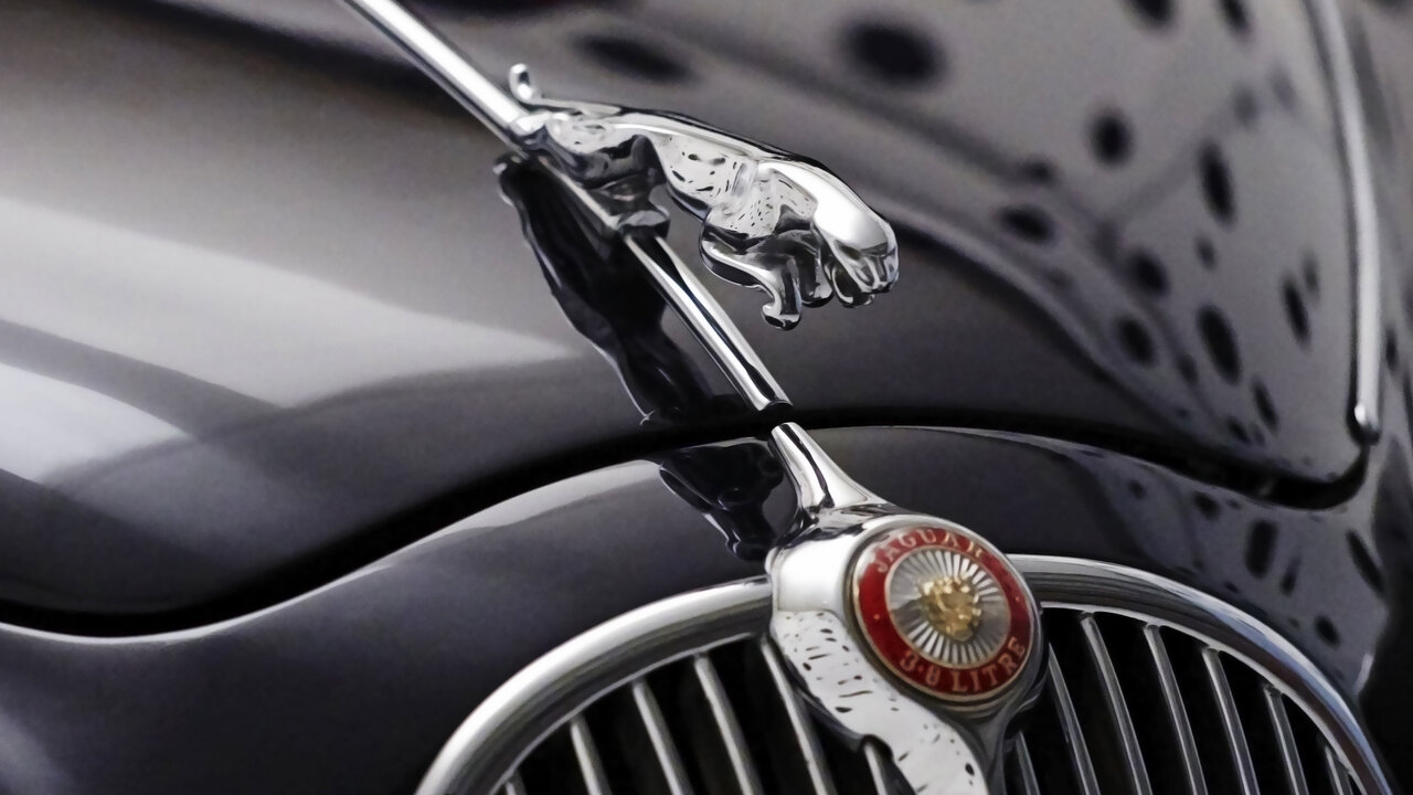 Jaguar-Logo