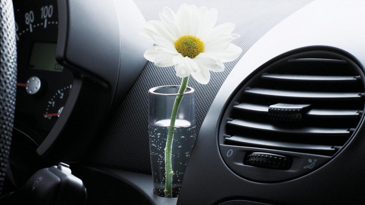 Blume und Vase im VW New Beetle