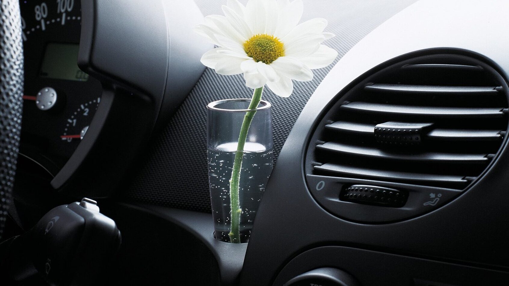 Blume und Vase im VW New Beetle