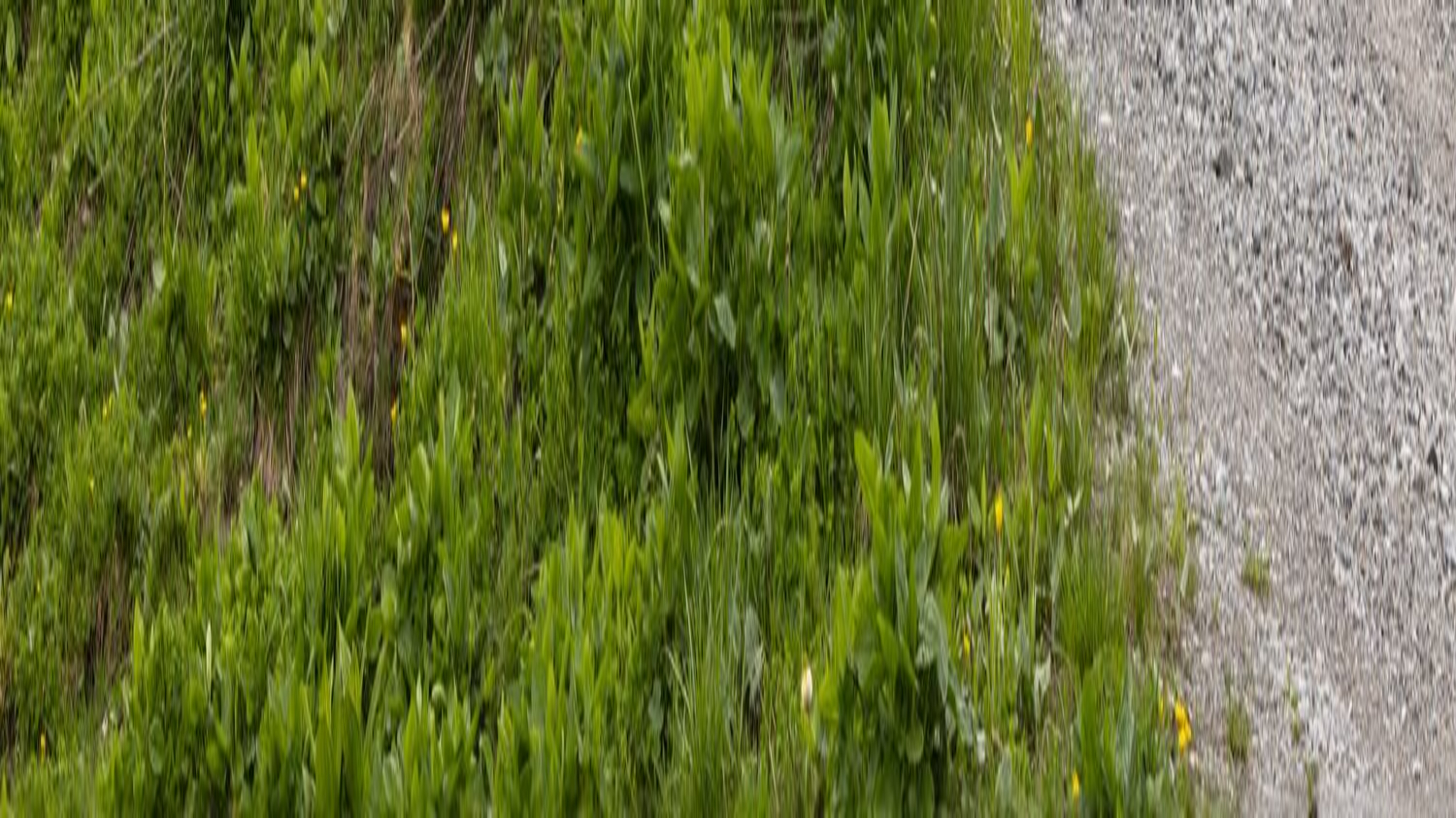 Mercedes GLC von vorne