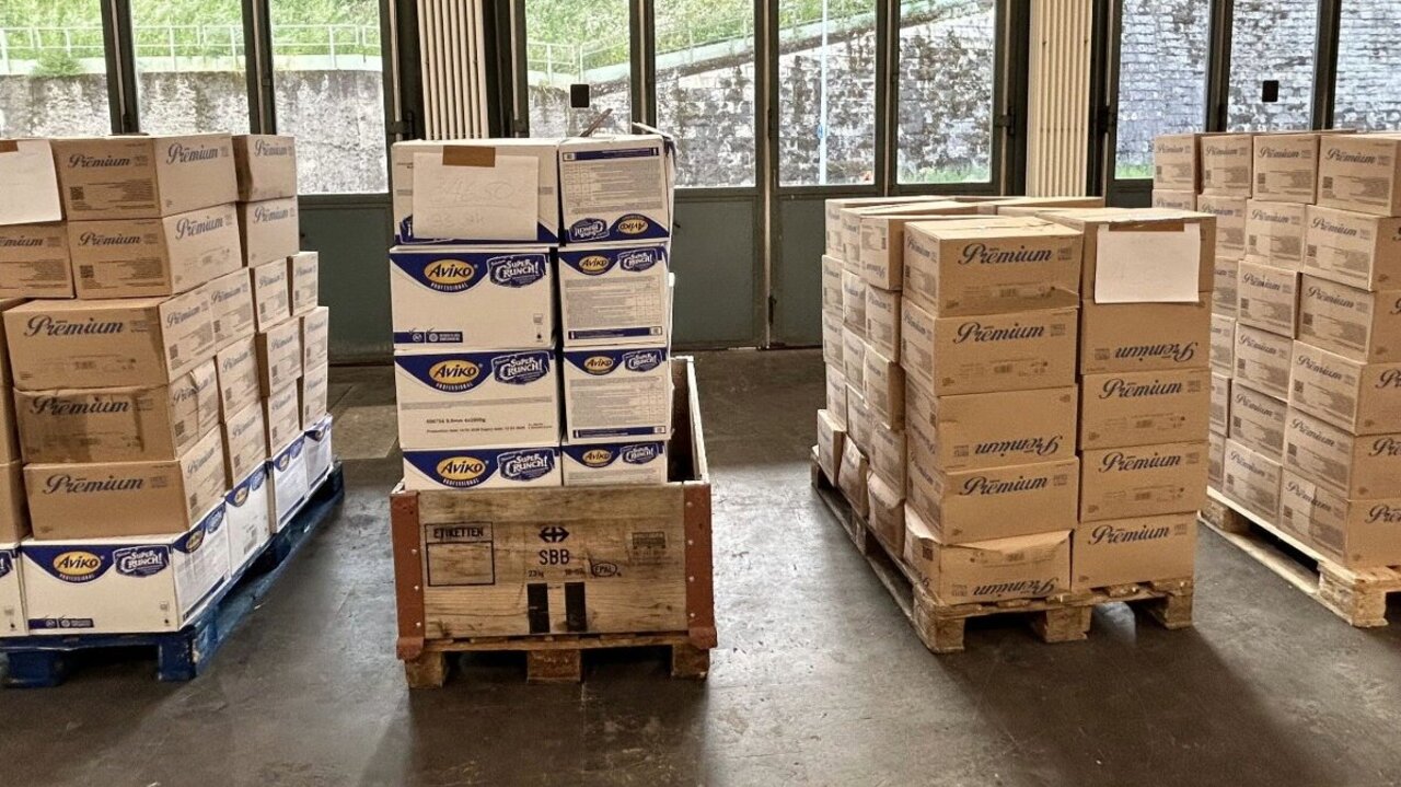 Ein Iraker versucht am Dienstag (19. Mai) zwei Tonnen Pommes Frites in die Schweiz zu schmuggeln. Sein Lieferwagen war aber nicht gekühlt und auch noch überladen. Bild: BZAG
