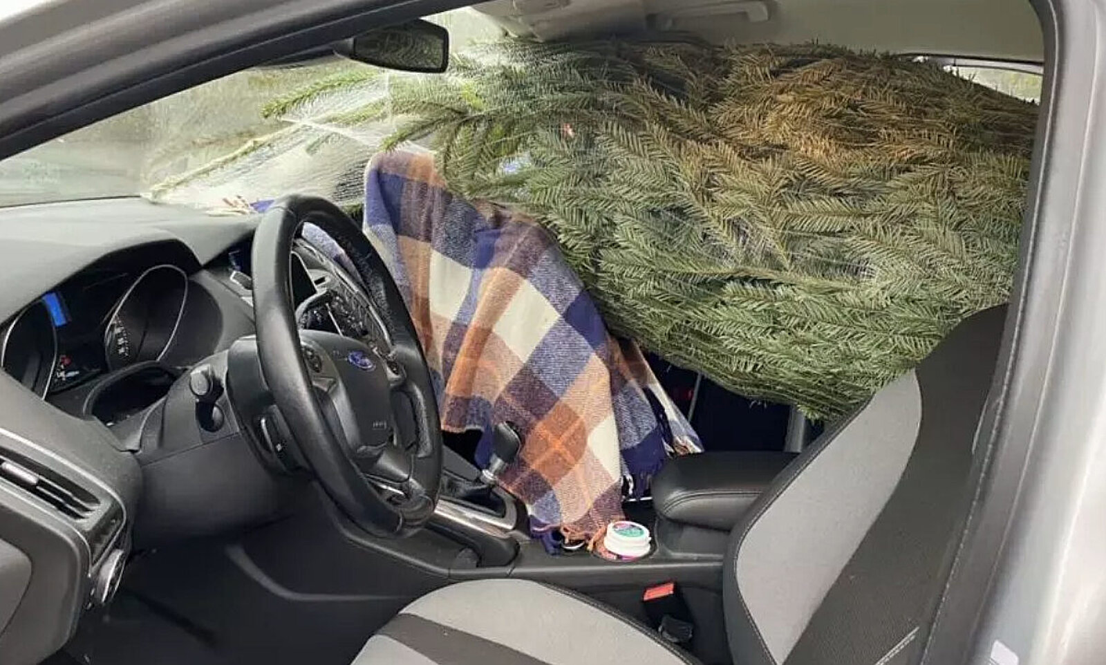 Eine gute Sicht ist beim Autofahren wichtig. Dieser Tannenbaum allerdings versperrt den Blick auf den linken Seitenspiegel. Bild: Zuger Polizei