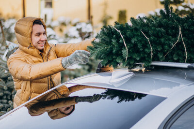 Alle freuen sich auf die Bescherung unter dem Weihnachtsbau. Doch dafür muss der Tanne zuerst nach Hause gebraucht werden. Bild: Freepik, senivpetro