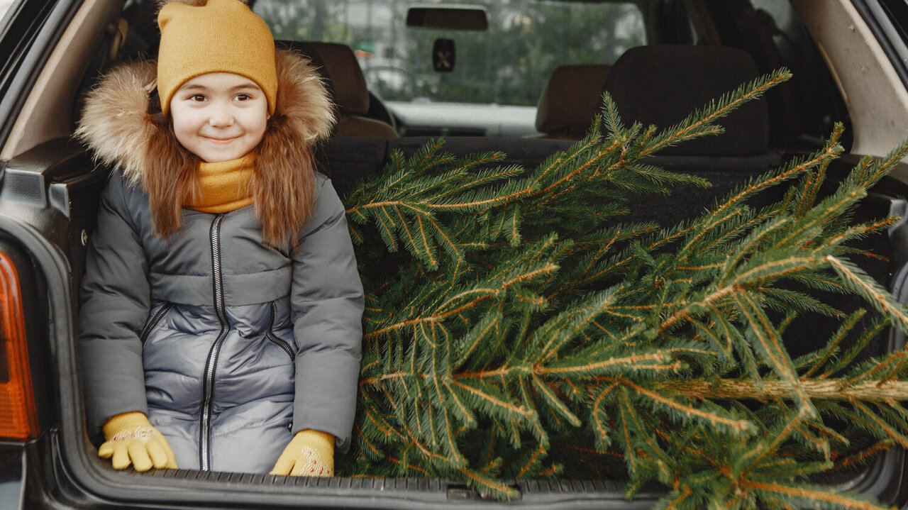 Kommt der Baum ins Wageninnere ist mit Schmutz zu rechnen. Den besten Schutz liefert hier...  Bild: freepik, prostooleh