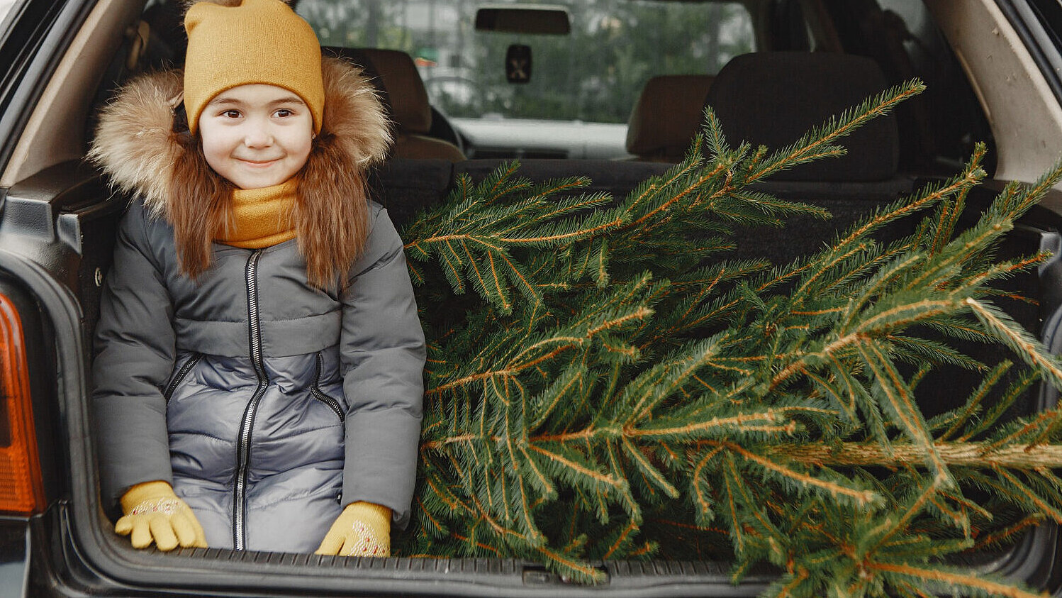 Kommt der Baum ins Wageninnere ist mit Schmutz zu rechnen. Den besten Schutz liefert hier... Bild: freepik, prostooleh
