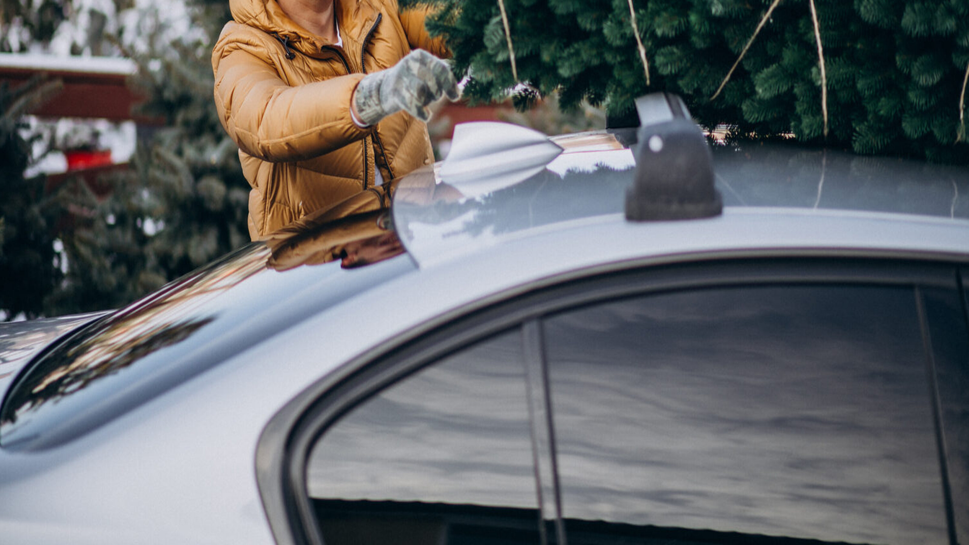 Der Tannenbaum muss so angebracht werden, dass er keine weiteren Verkehrsteilnehmende gefährden kann. Bild: freepik, senivpetro