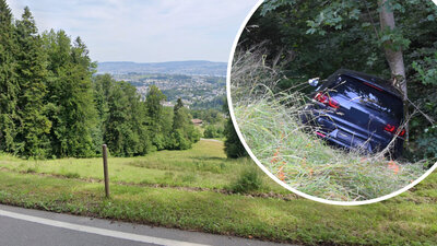 Auf der Buchenegpassstrasse verlor der Bauer die Kontrolle über sein Fahrzeug. Am Ende einer Böschung kam der Wagen in den Bäumen zum Stillstand. Bild: Google maps, Symbolbild