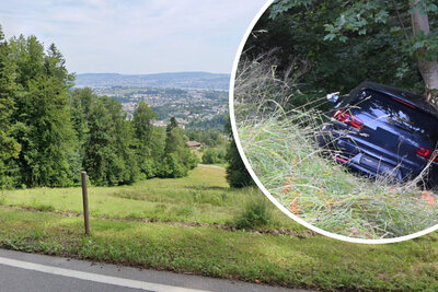 Auf der Buchenegpassstrasse verlor der Bauer die Kontrolle über sein Fahrzeug. Am Ende einer Böschung kam der Wagen in den Bäumen zum Stillstand. Bild: Google maps, Symbolbild