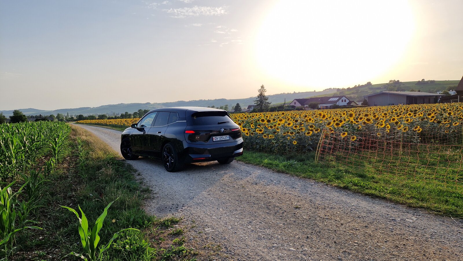 Heckansicht BMW iX