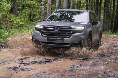 Subaru Forester von vorne im Wald