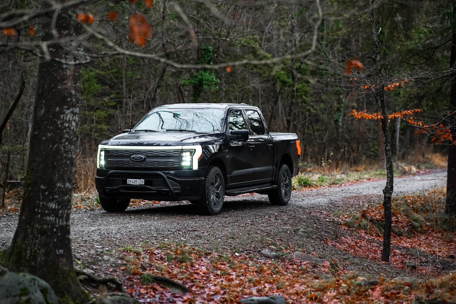 Ford F-150 Lightning im Wald