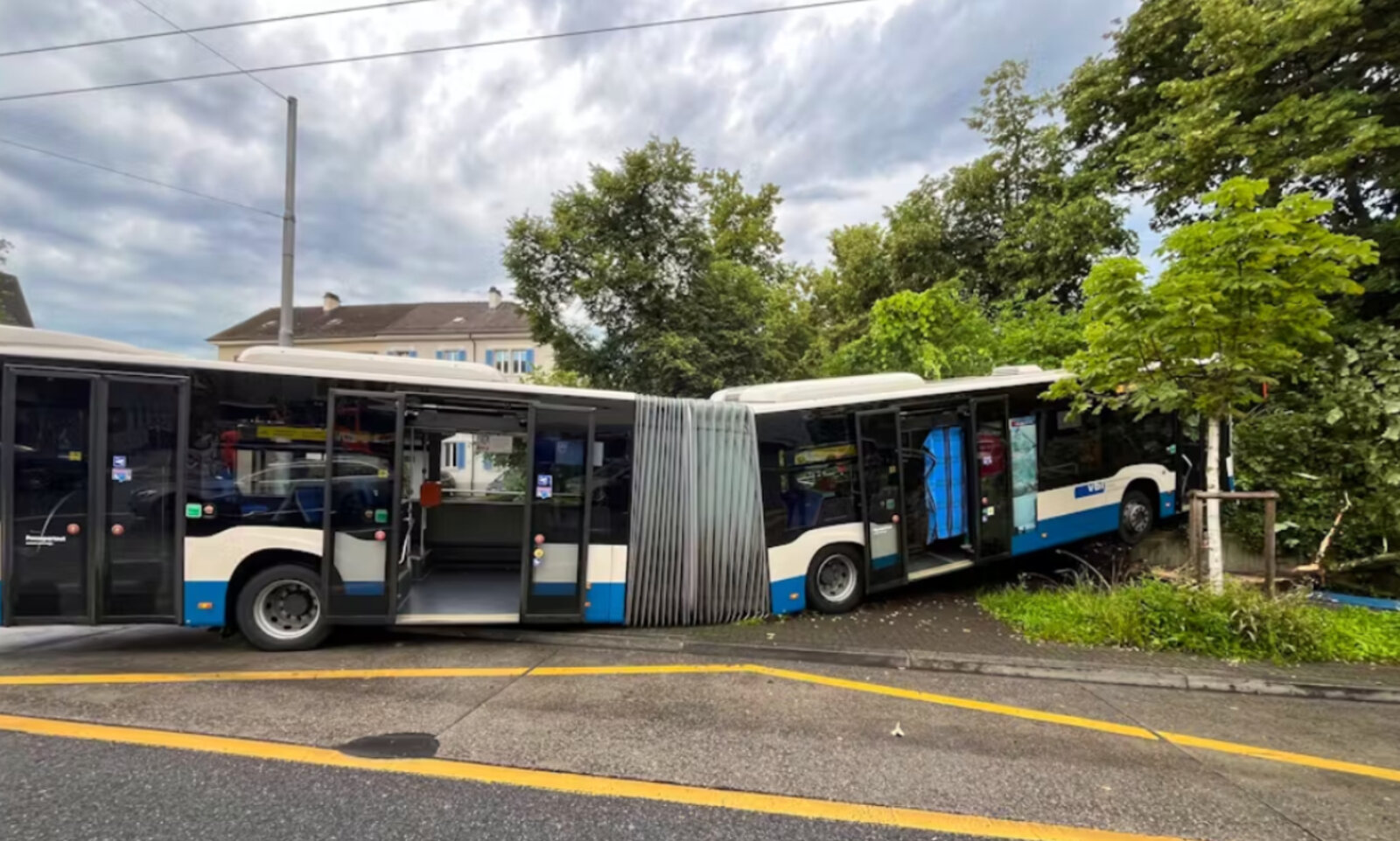 Bus LU