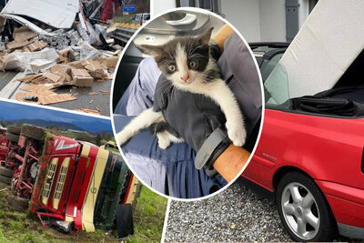 Bildcollage mit Hoppalas