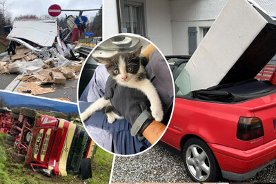 Bildcollage mit Hoppalas