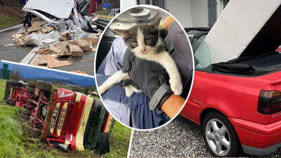 Bildcollage mit Hoppalas