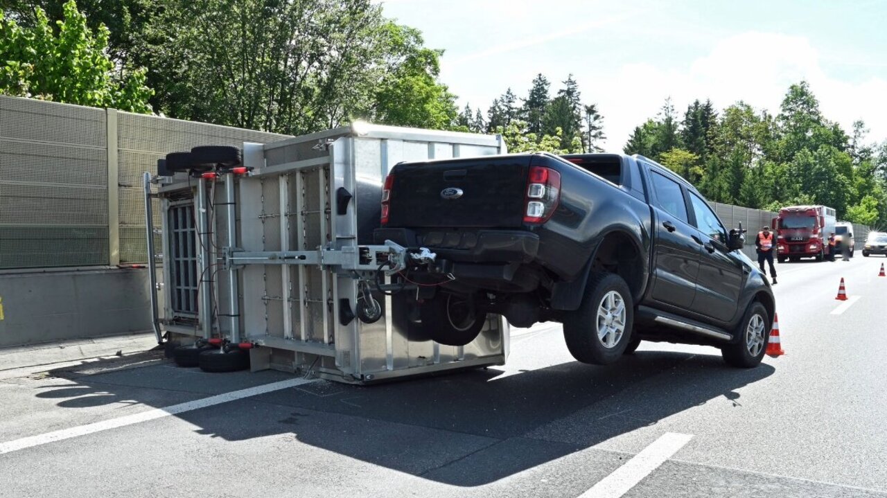 Ein Tier verletzte sich beim Unfall leicht. Der Lenker kam mit dem Schrecken davon. Bild: Luzerner Polizei