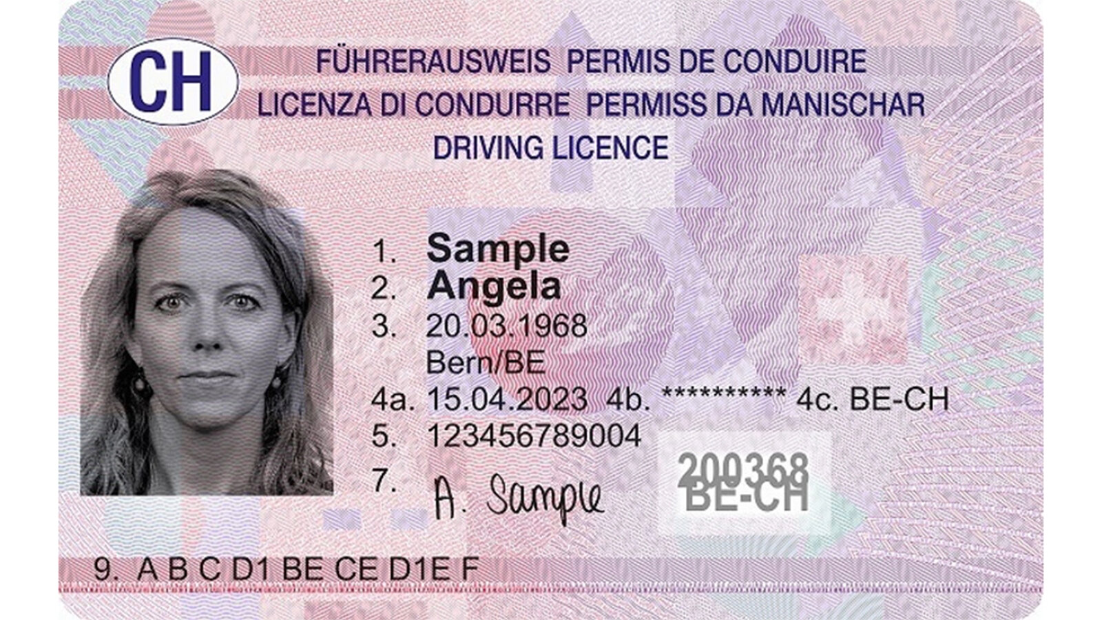 Beispiel Fahrausweis