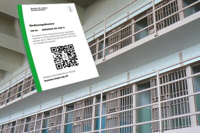 Gefängnis Schweiz Busse