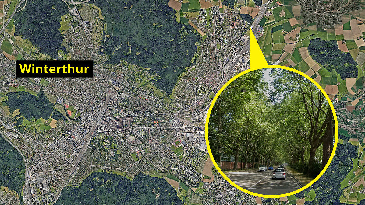 Zur Geschwindigkeitsüberschreitung kam es auf der Frauenfelderstrasse in Fahrtrichtung Wiesendangen ZH. Grafik: Google Maps, STREETLIFE