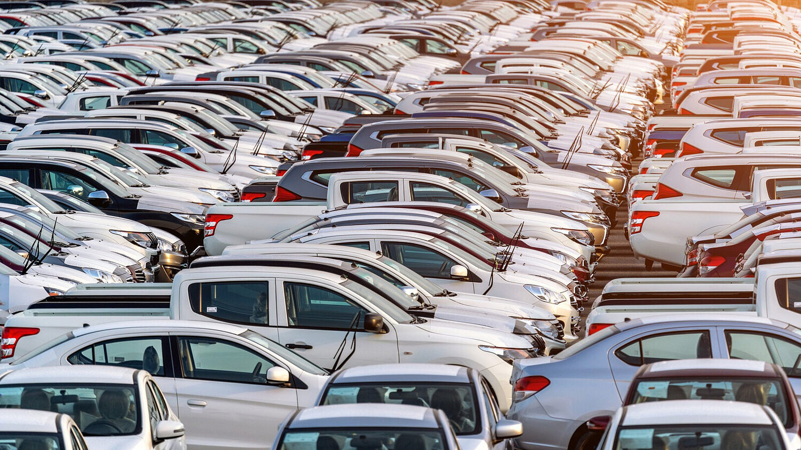 Zahlreiche neue Autos stehen am Hafen