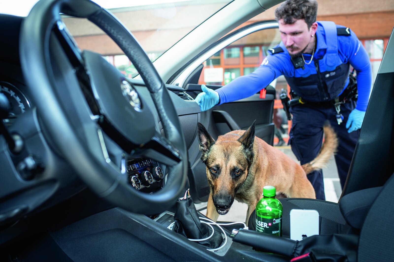 Hund durchsucht Auto.
