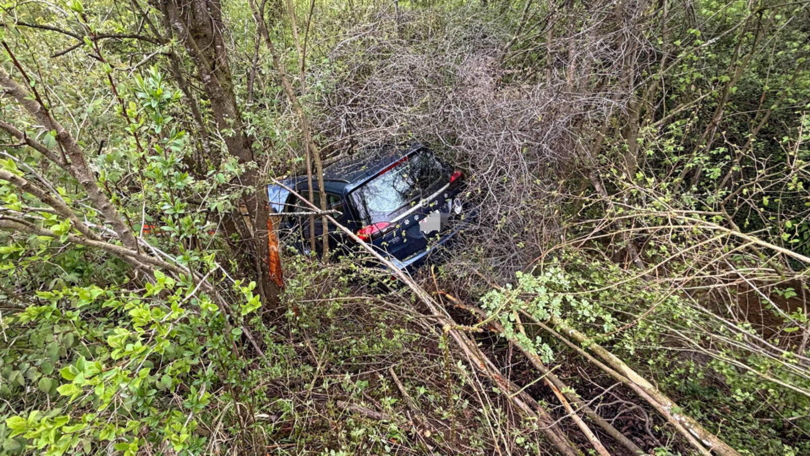 Versteckt im bewachsenen Bachufer. Das Auto kam beim Unfall im Bachbett zum Stillstand. Bild: Kantonspolizei Aargau
