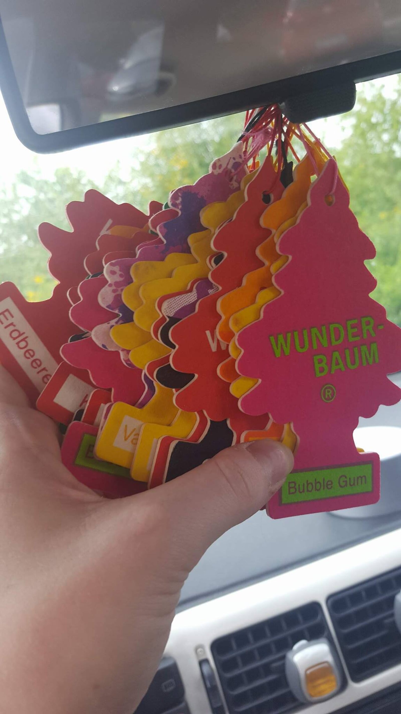 Eine Sammlung Wunder-Bäume in einem Auto