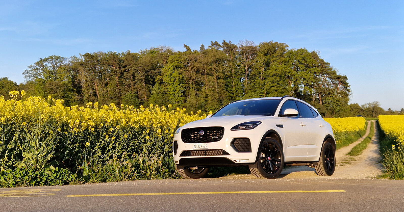 Jaguar E-Pace PHEV Frontansicht