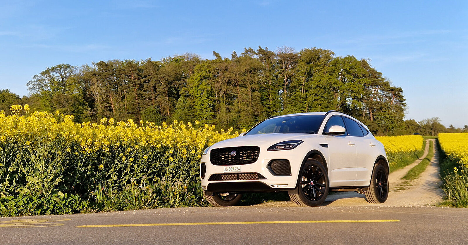 Jaguar E-Pace PHEV Frontansicht
