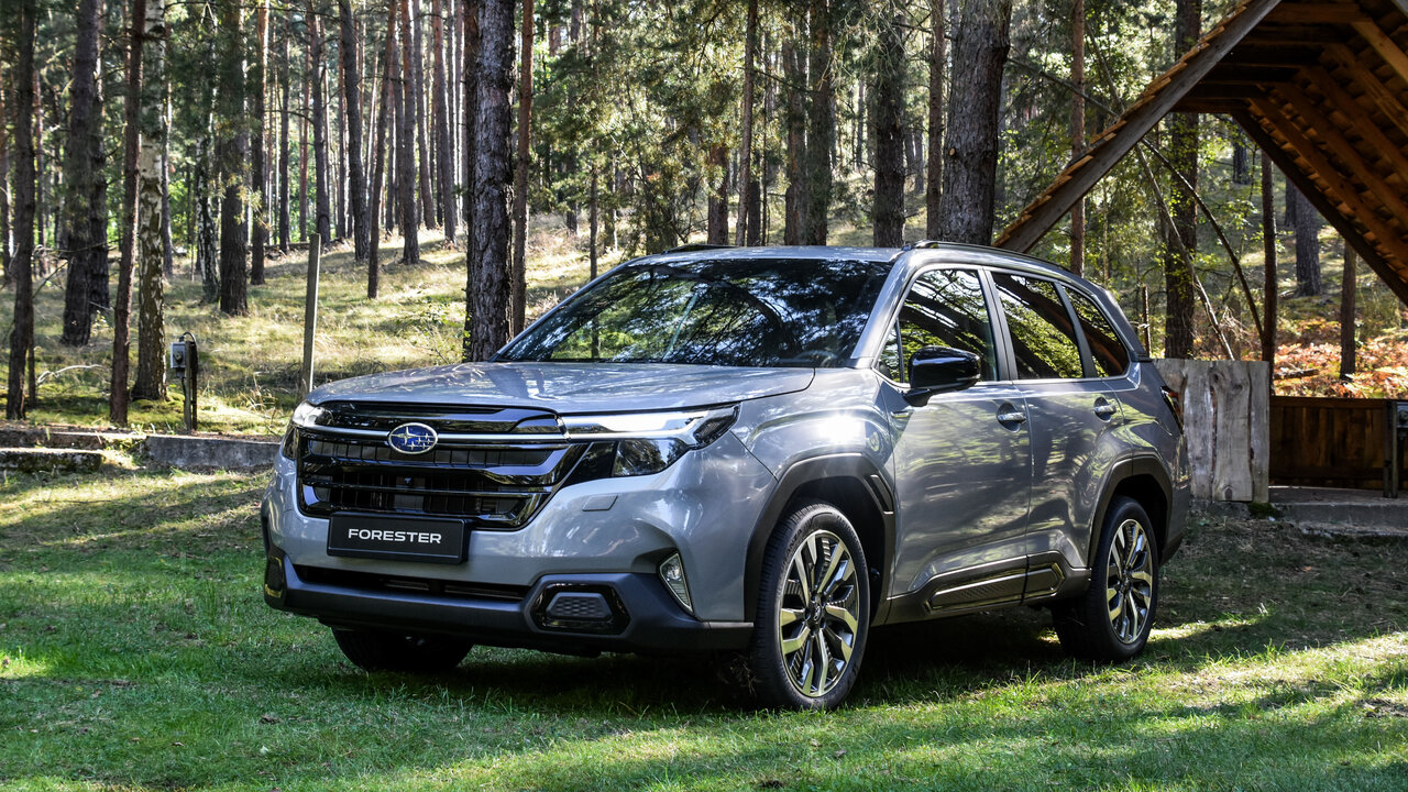 Subaru Forester im Wald