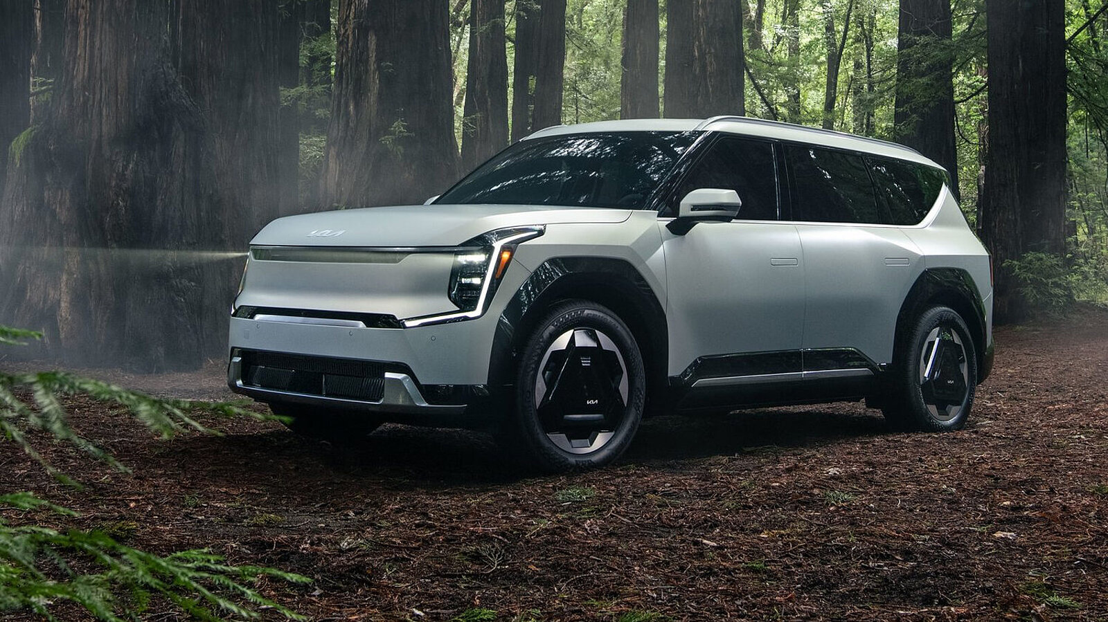 Der Kia EV9 von vorne im Wald