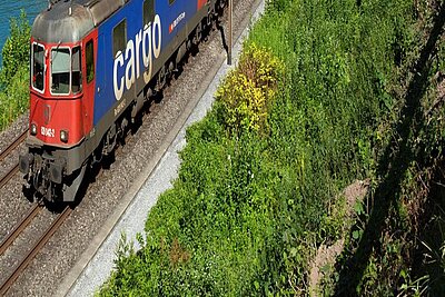 Güterzug von SBB Cargo
