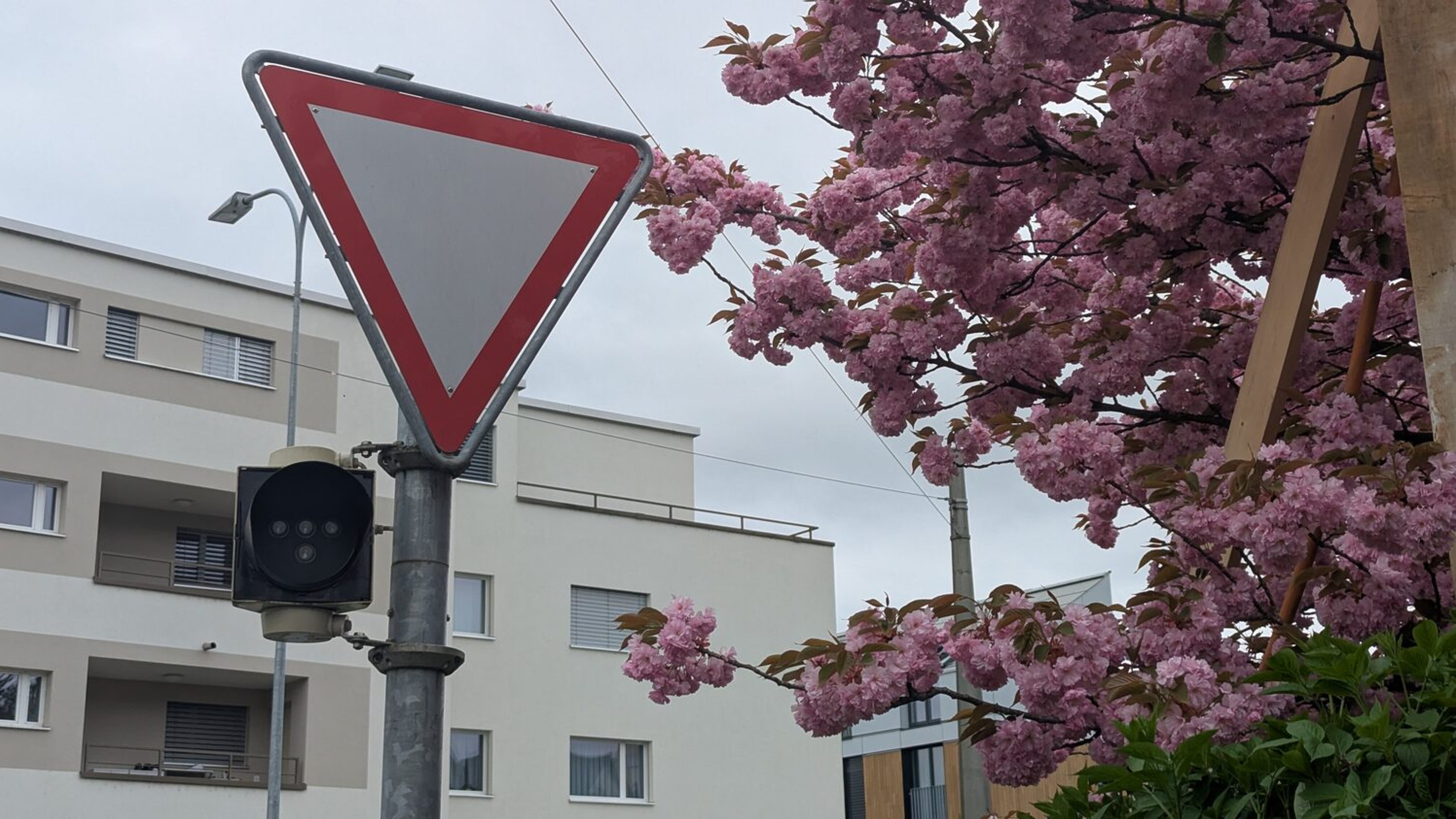 Signalisation «Kein Vortritt»
