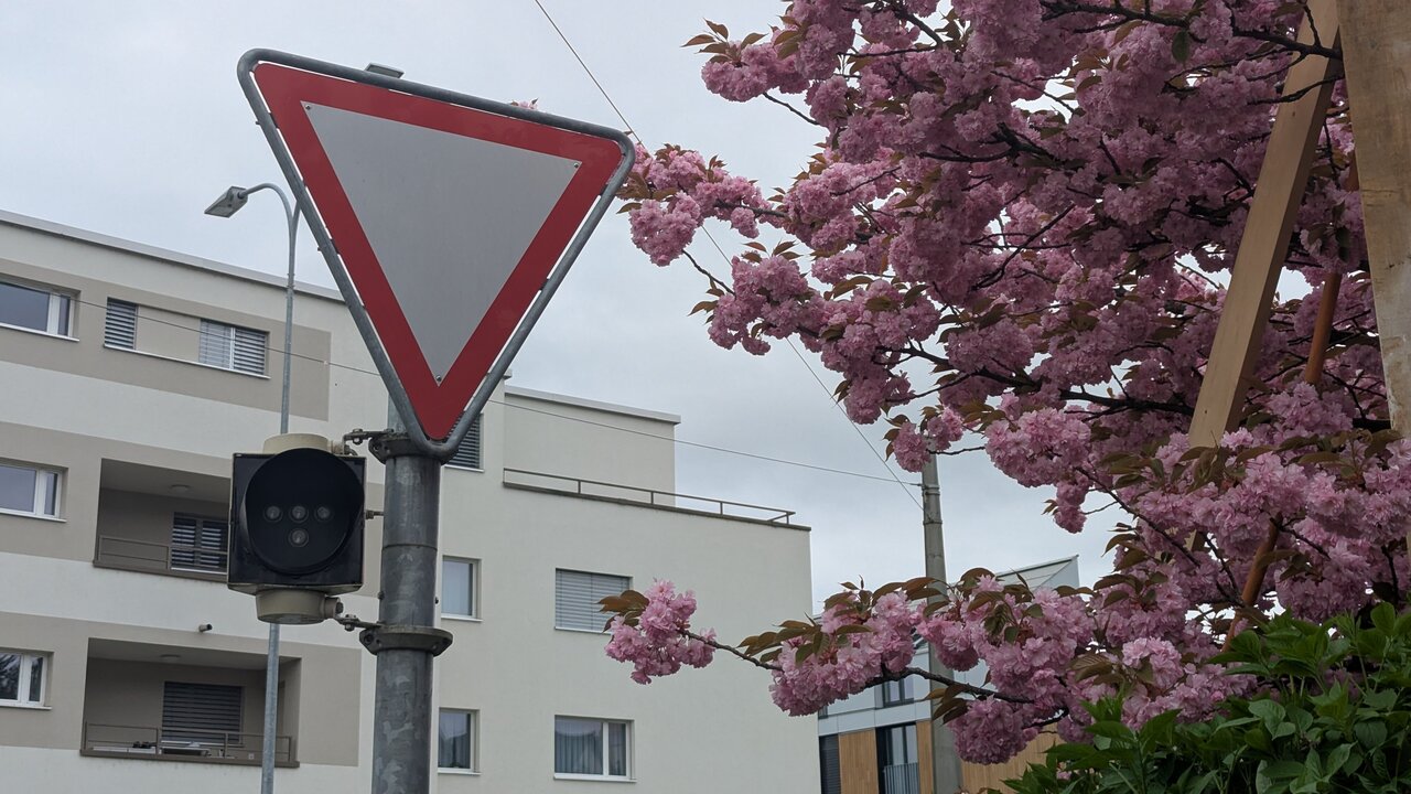 Signalisation «Kein Vortritt»