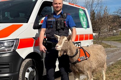 Kantonspolizei Schwyz Aprilscherz
