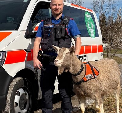 Kantonspolizei Schwyz Aprilscherz