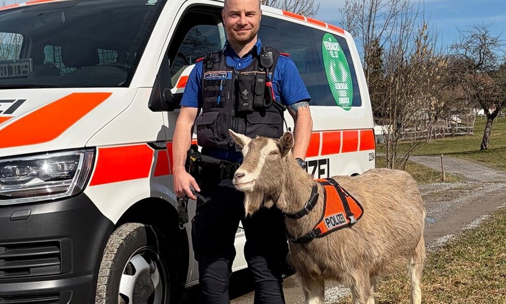 Kantonspolizei Schwyz Aprilscherz