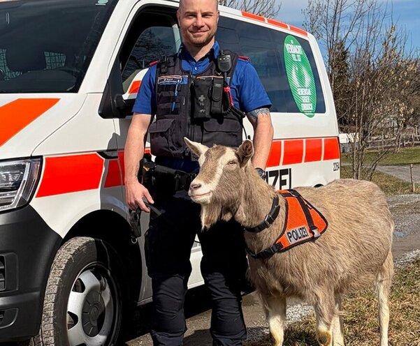 Kantonspolizei Schwyz Aprilscherz